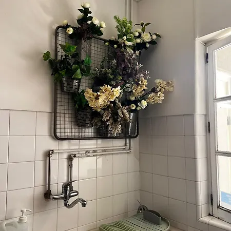 Konukevi D'avenida Vila Praia de Âncora