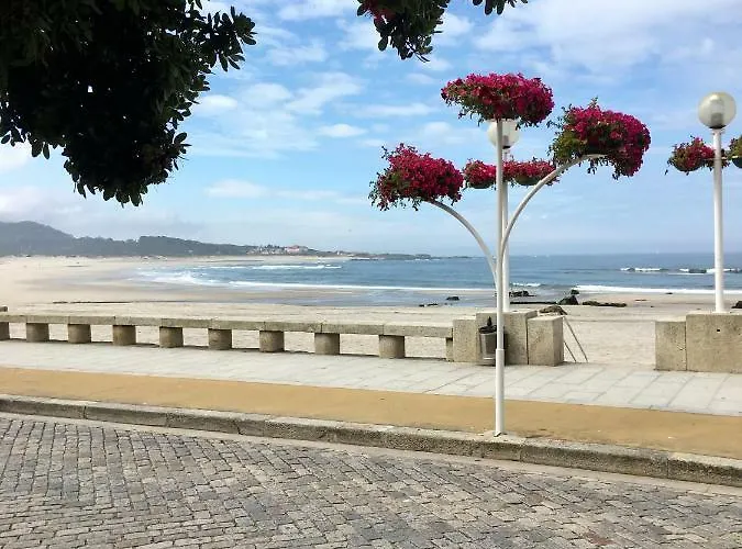 게스트하우스 D'avenida